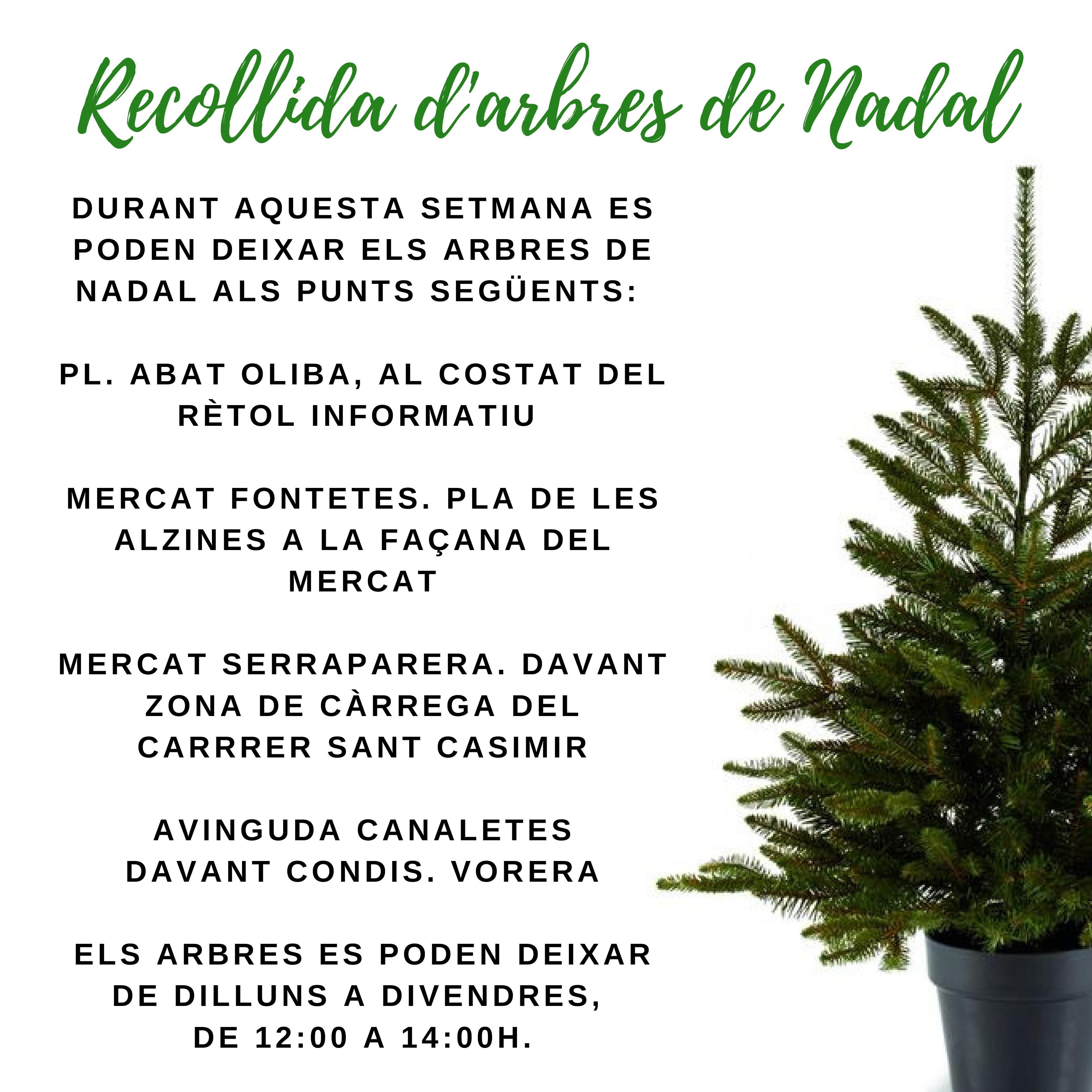 Infografia amb el detall del reciclatge d'arbres de Nadal