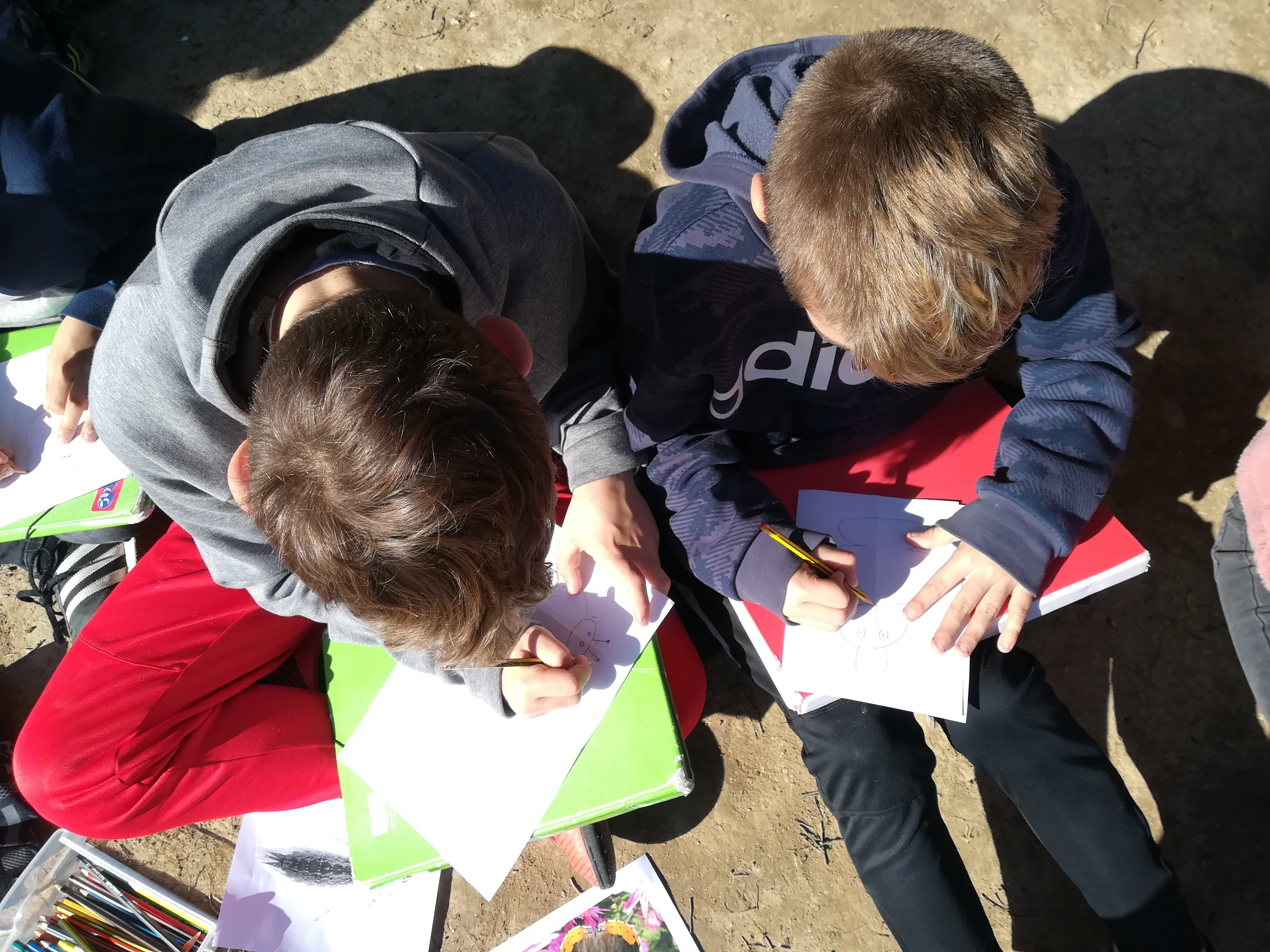 L'alumnat de 6è de l'escola Collserola ha estudiat la vida a la bassa durant el curs