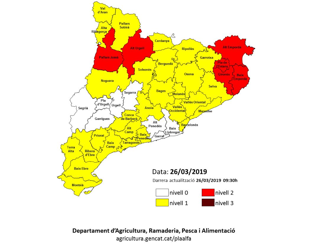 Mapa del Pla Alfa actualitzat el 26.03.19 a les 9:30h