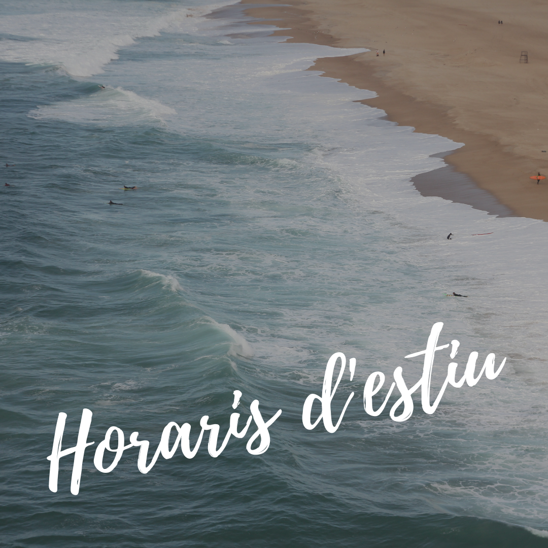 Horaris d'estiu