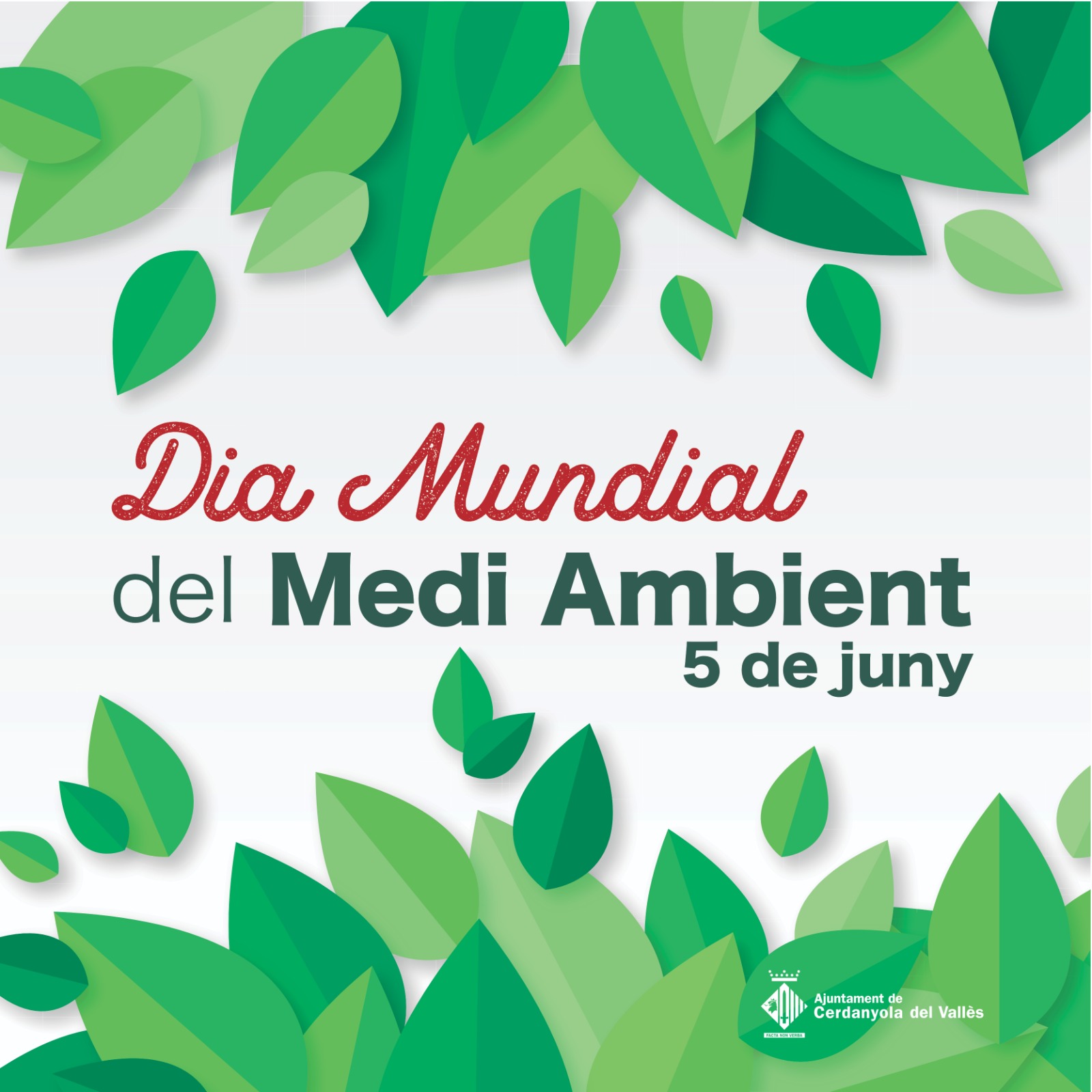Imatge Dia Mundial Medi Ambient 2020