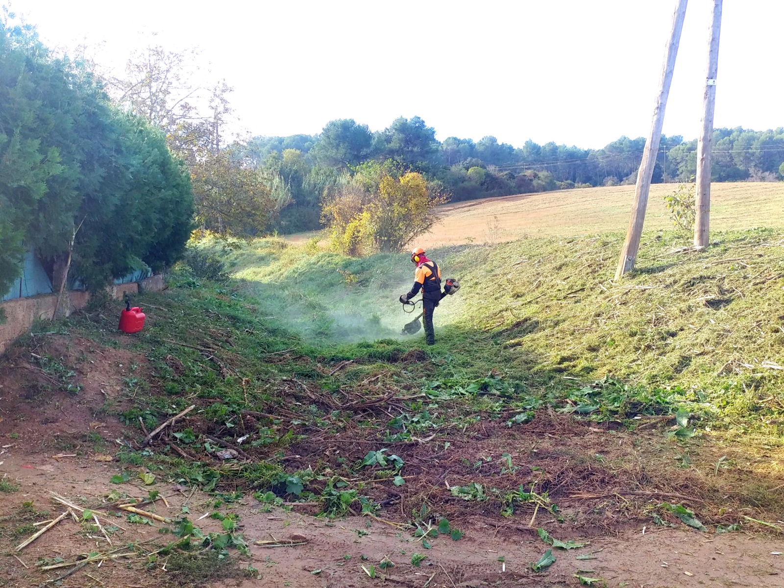 foto dels treballs de protecció