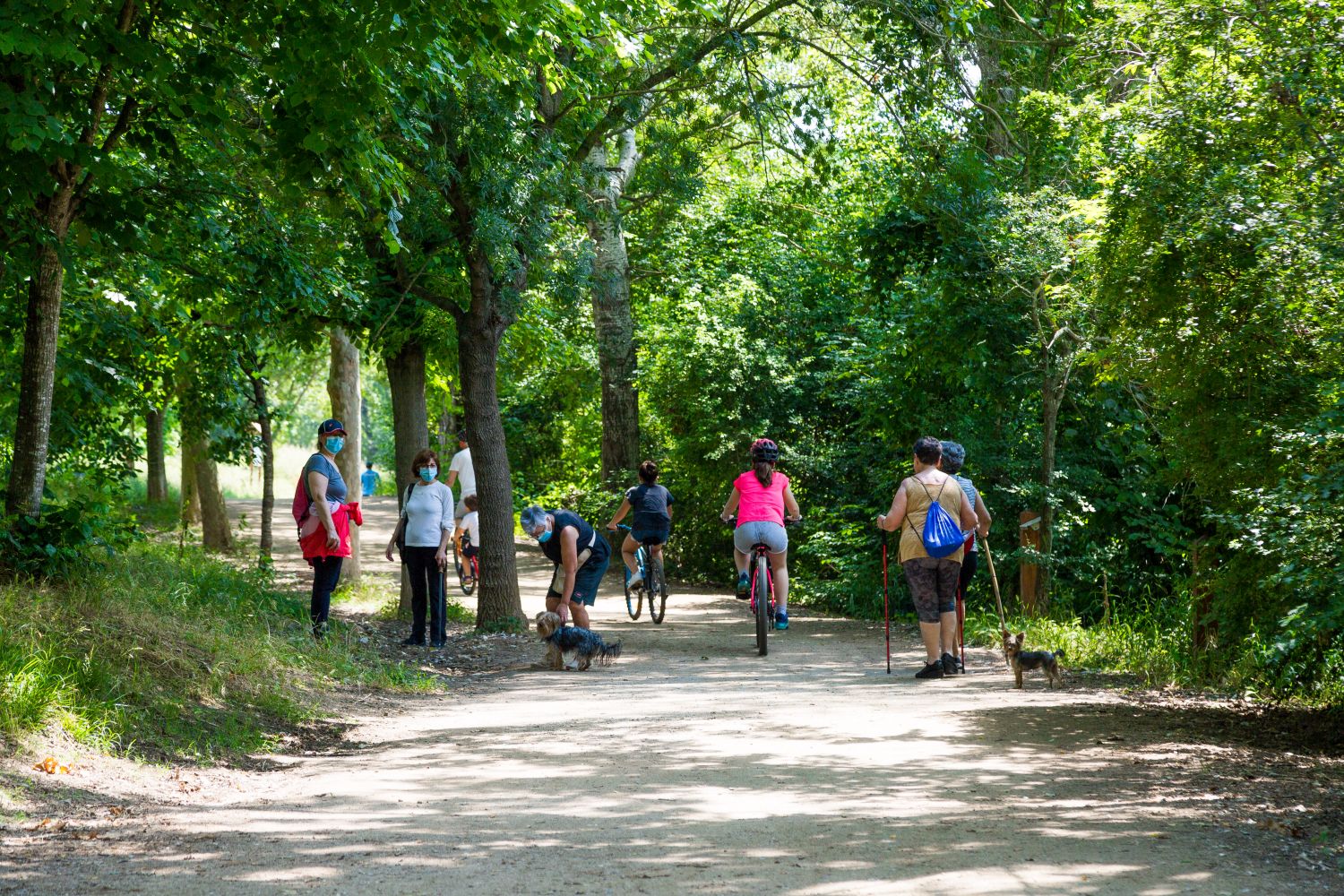 L'afluència de visitants al Parc de Collserola s'ha incrementat durant el darrer any (Foto: Núria Puentes)