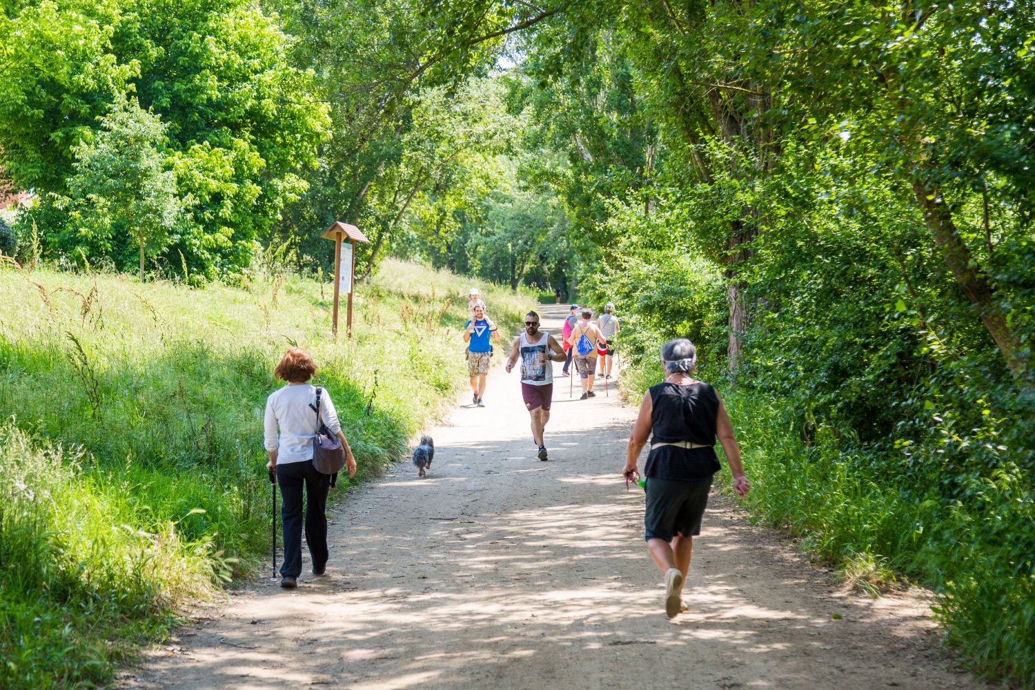 L'afluència de persones al parc ha augmentat els darrers mesos Foto: Núria Puentes