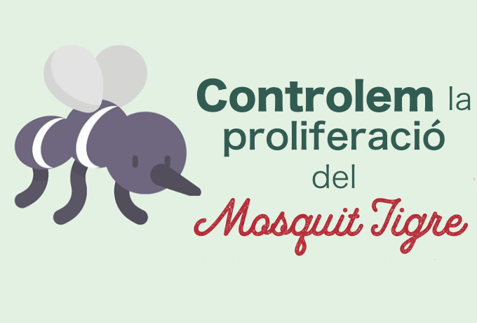 Imatge control proliferació Mosquit Tigre