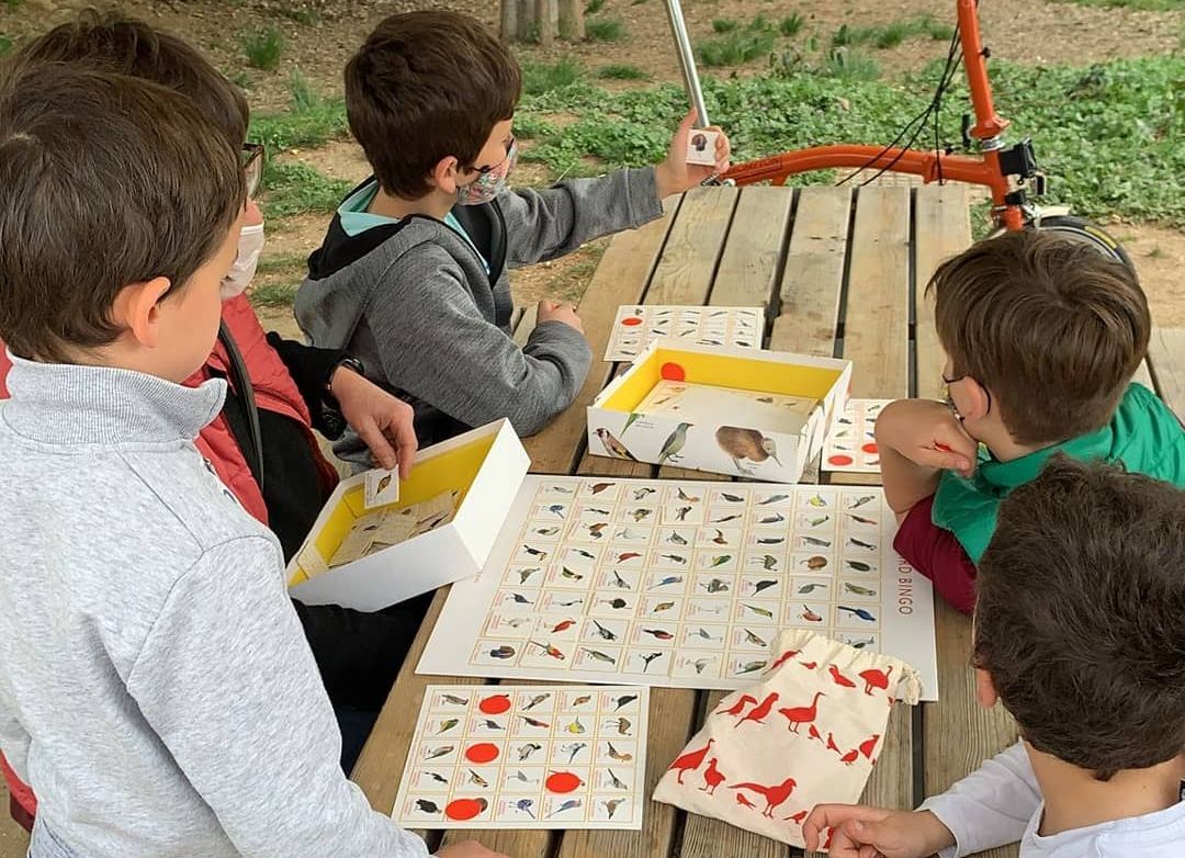 Taller de dibuix naturalístic a la Jugatecambiental del Turonet