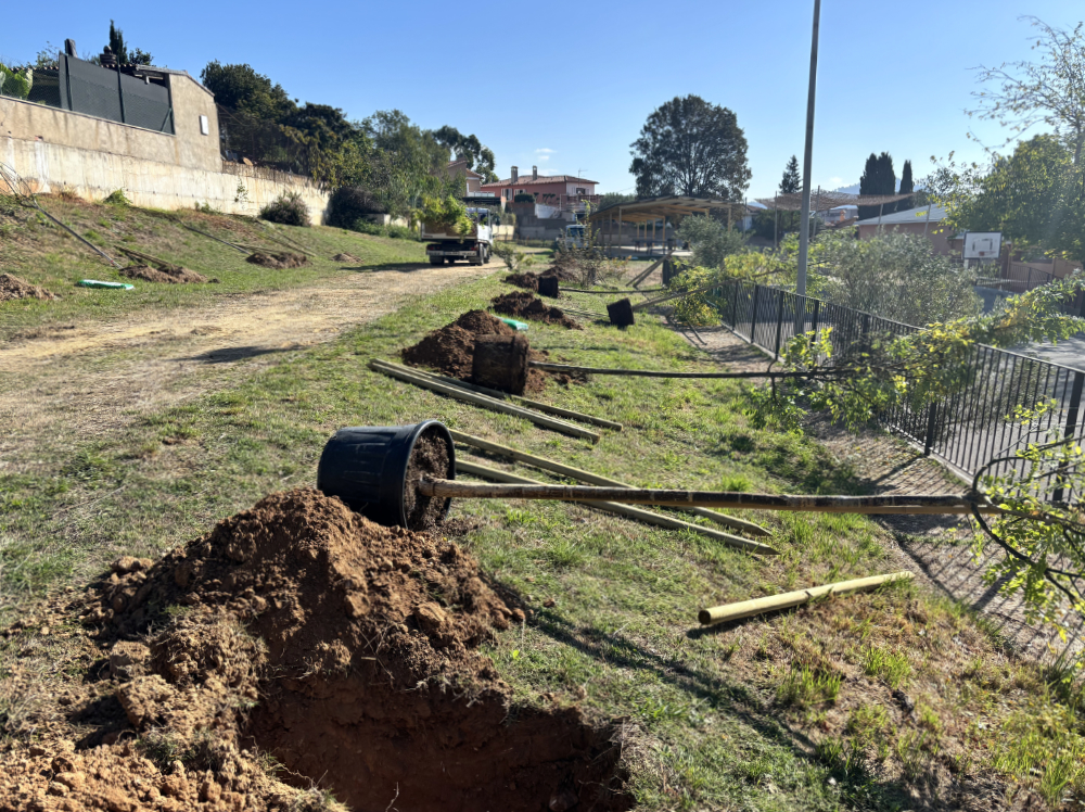 Plantació arbres escola Carles Buïgas