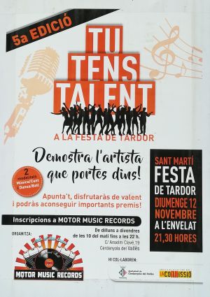 Tu Tens Talent 2017