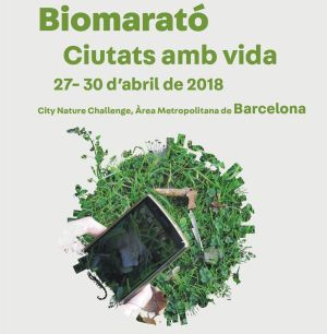 Biomarató, ciutats amb vida