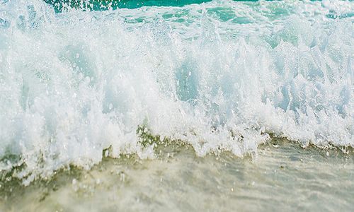 III Concurs fotogràfic 'Mostra'ns el teu estiu'
