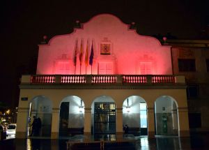 Imatge de la façana de l'ajuntament il·luminada de color rosa