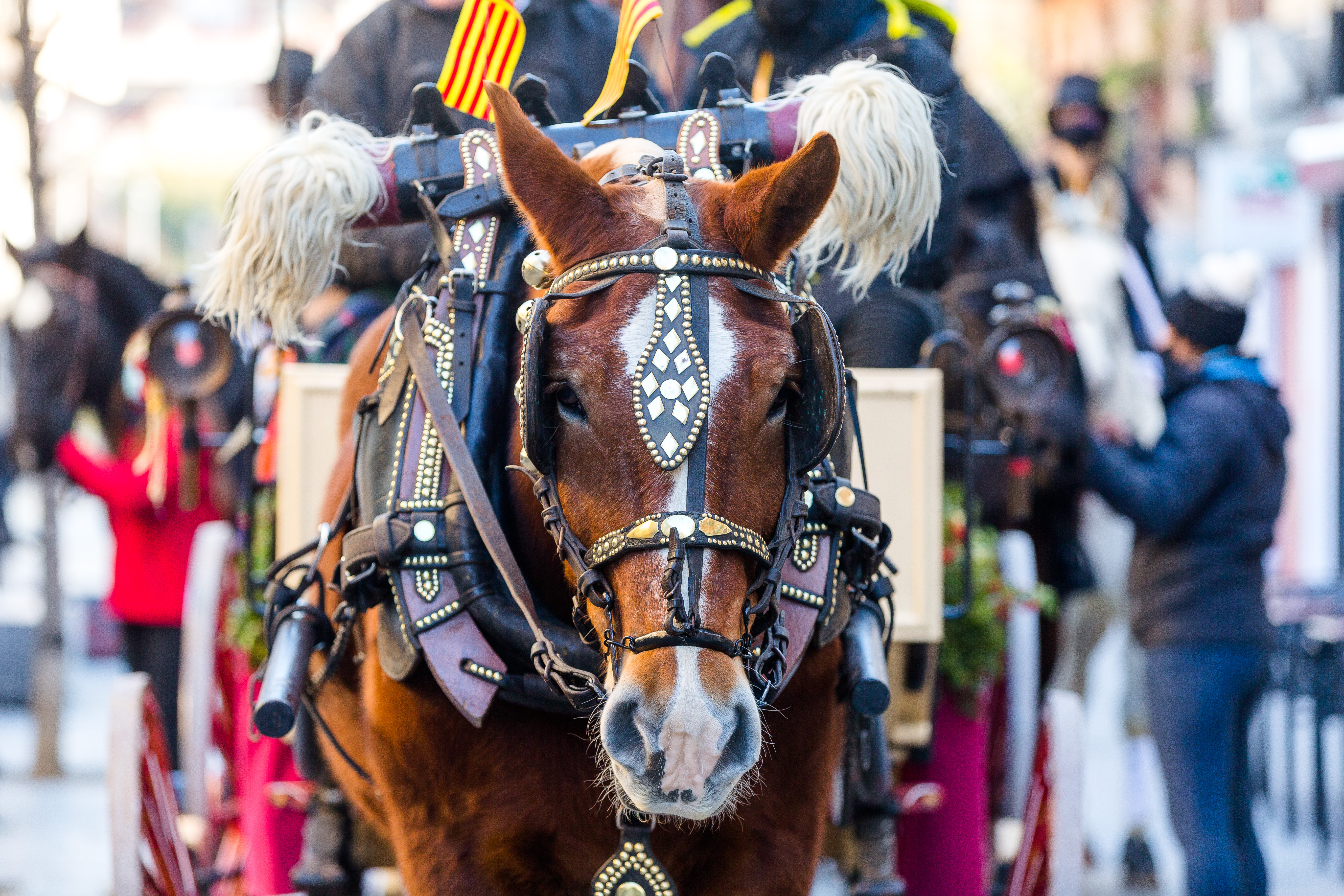 Imatge Tres Tombs 2022