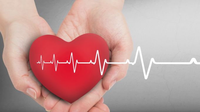 Imatge Taller pel Dia Europeu per a la Prevenció del Risc Cardiovascular