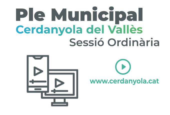 Imatge Ple Municipal en directe