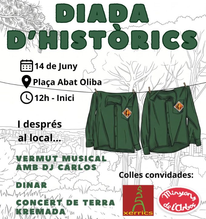 cartell Diada Castellera Històrics