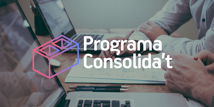 Imatge Programa Consolida't