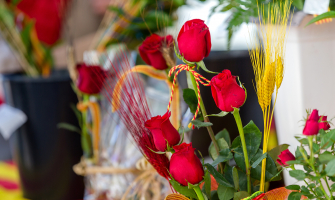 Roses de Sant Jordi (Foto: Núria Puentes)