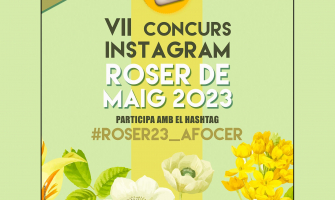 Cartell Concurs Instagram Roser de Maig 2023