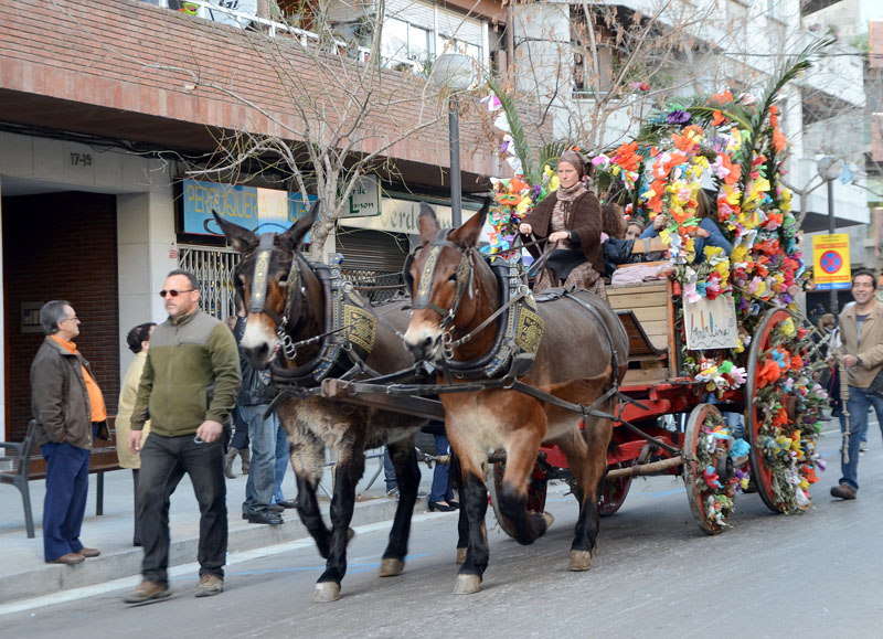 Fotografia de la passada del 2016. Arxiu www.cerdanyola.info