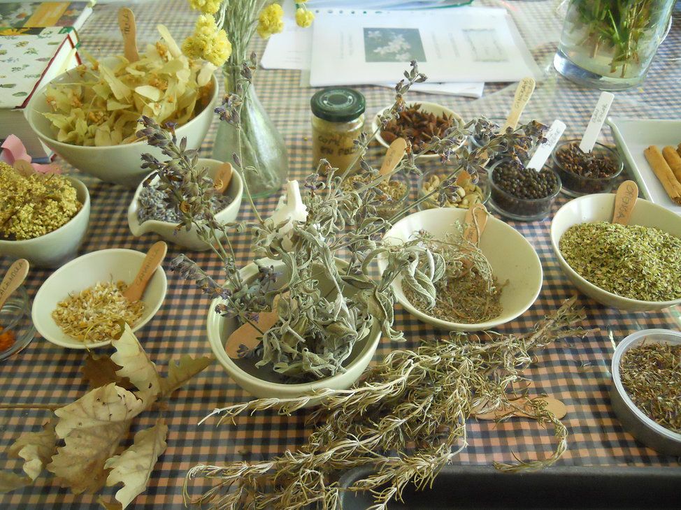 Herbes remeieres