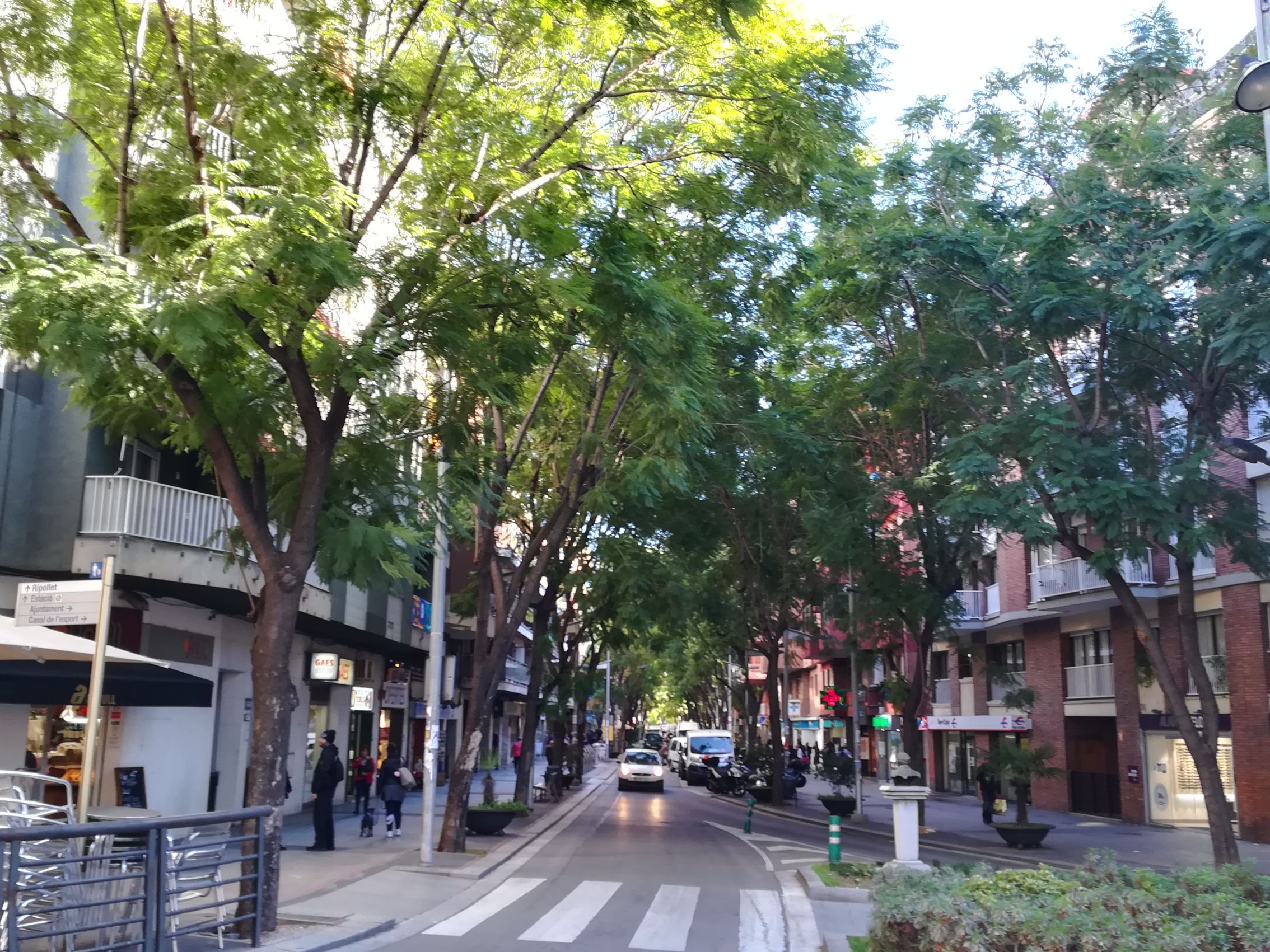 Xicrandes de l'Avinguda de Catalunya