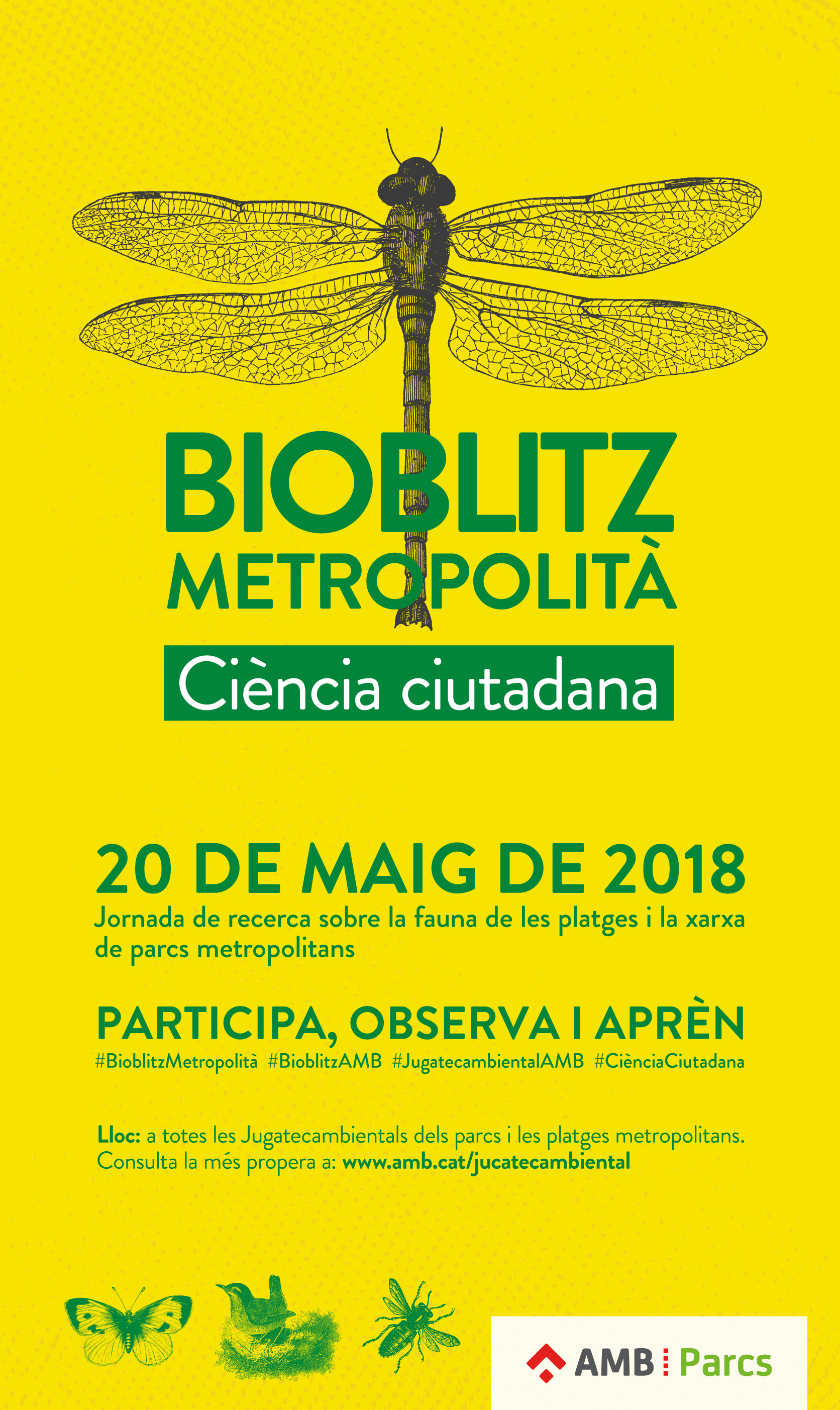 Cartell del I Bioblitz