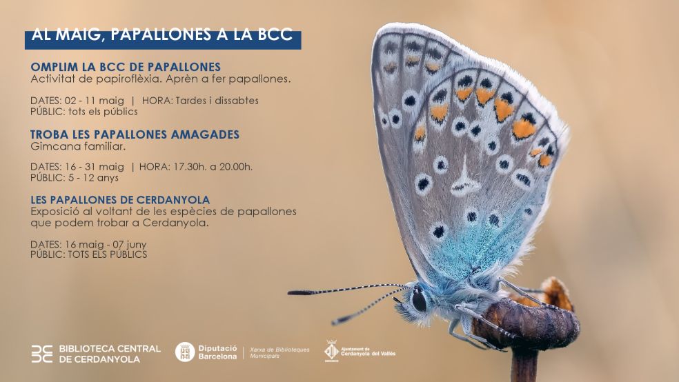 Cartell de les activitats dedicades a les papallones