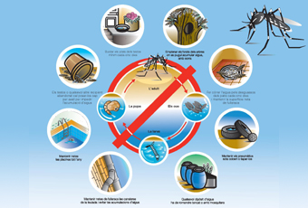 Mesures de prevenció per evitar proliferació mosquit tigre