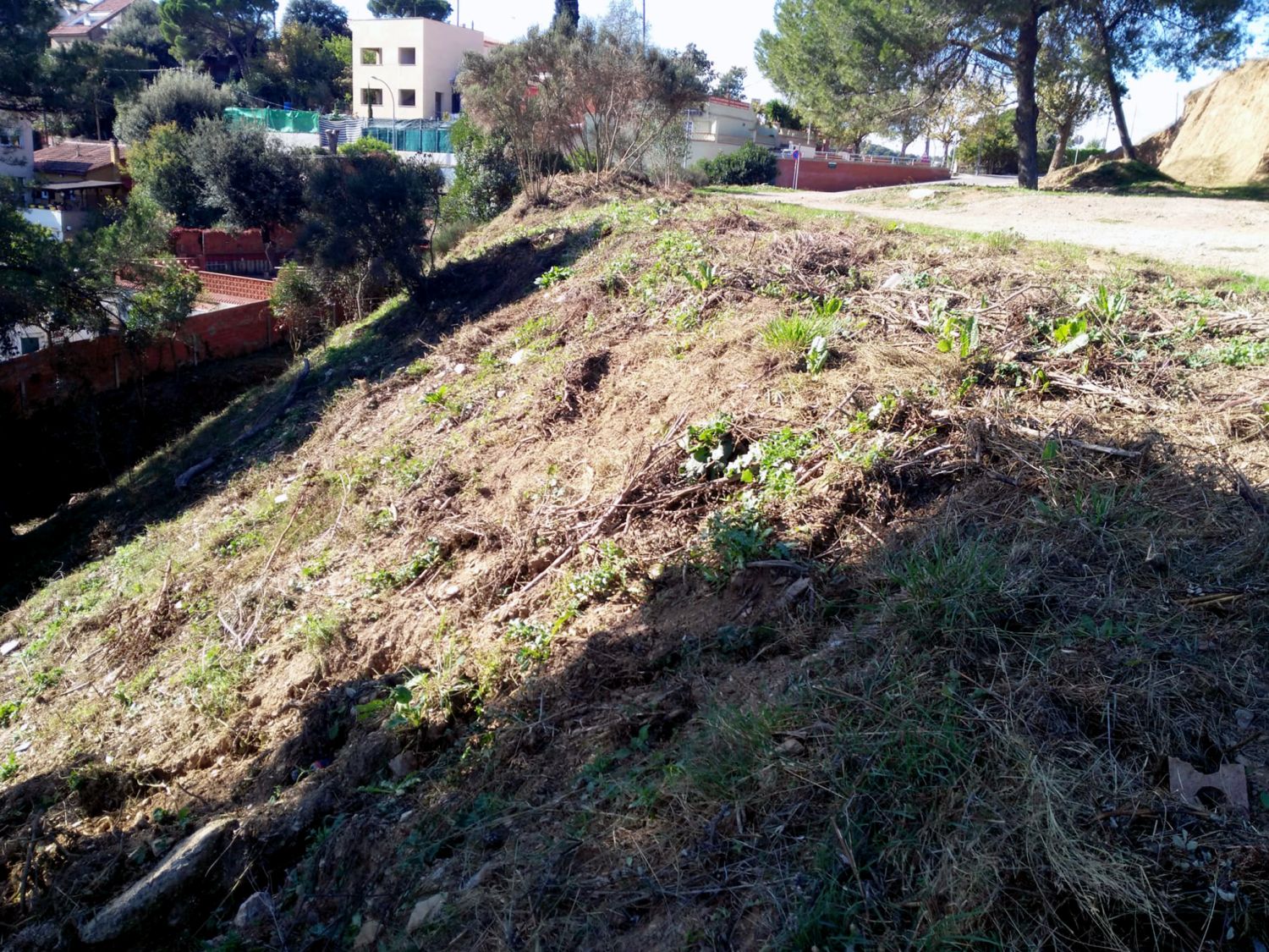 Fotografia d'una zona netejada