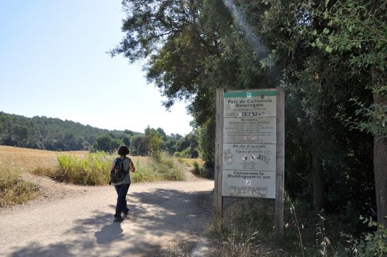 Parc Natural de Collserola. Font: Arxiu CPNSC