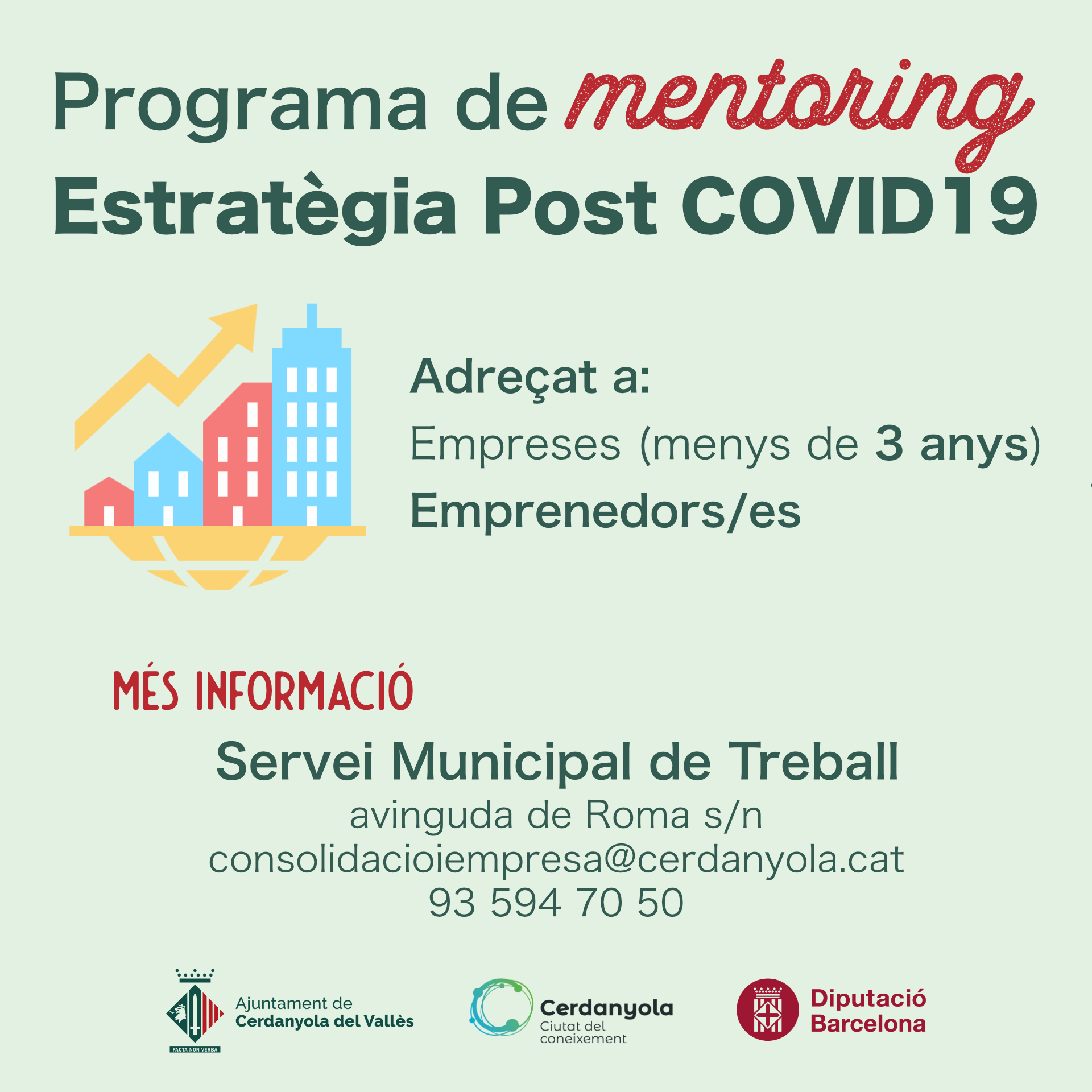 Imatge Programa mentoring 'Estratègies post covid19'