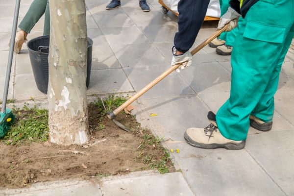 La formació se centrarà en la jardineria