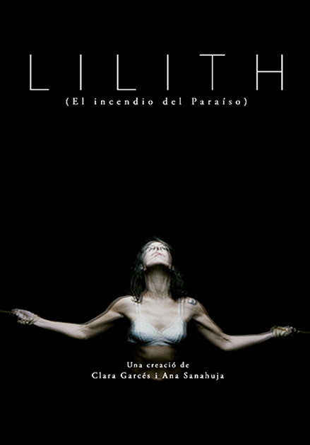 cartell de l'obra