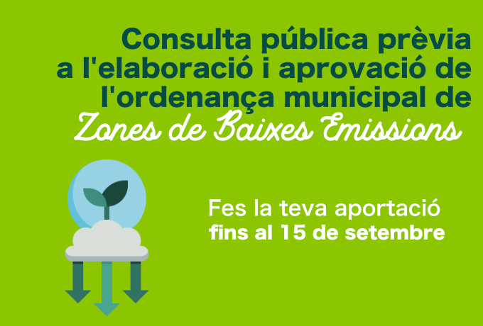 Imatge Consulta Pública