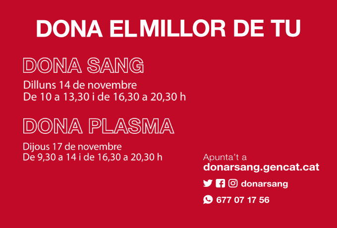 Donacions sang i plasma novembre