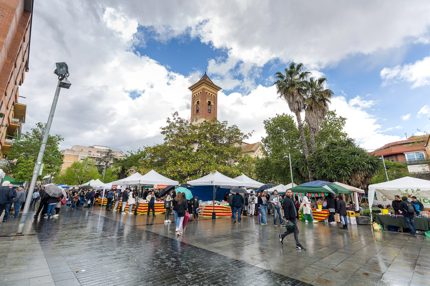 Imatge de Sant Jordi 2022