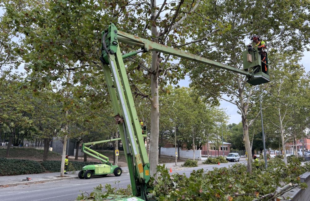 Operaris treballant al barri de Canaletes