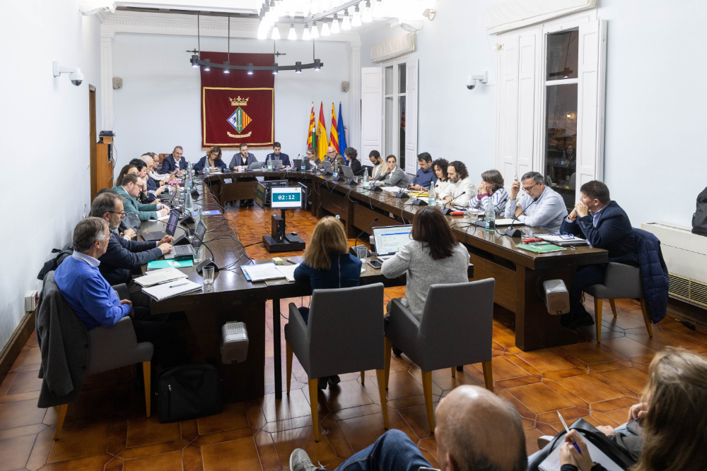 Resum del ple ordinari del 21 de març de 2024