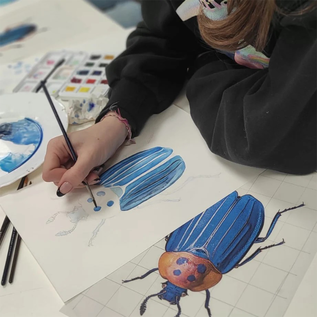 fotografia treball classe ART PER A JOVES la il.lustració d'un insecte amb la tècnica de l'aquarel.la