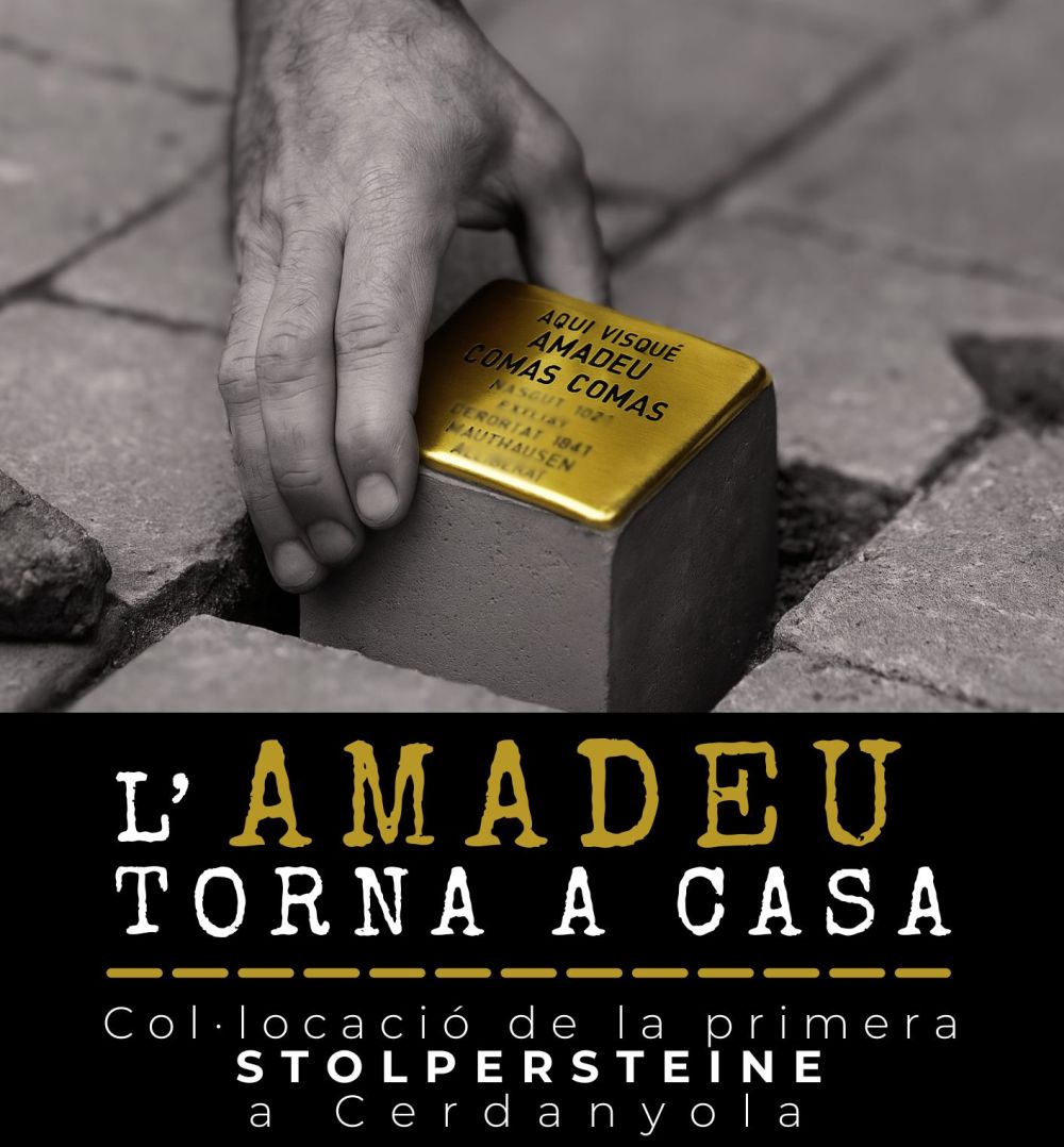 imatge del Cartell L'Amadeu torna a casa