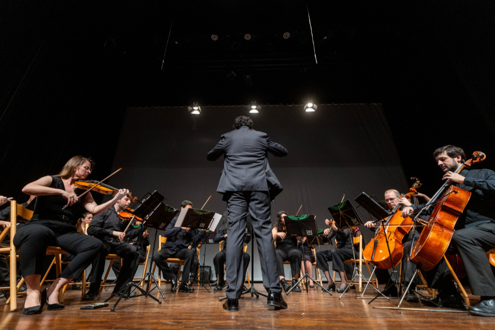 imatge del concert commemoratiu pel 25è aniversari de l’Orquestra Aulos