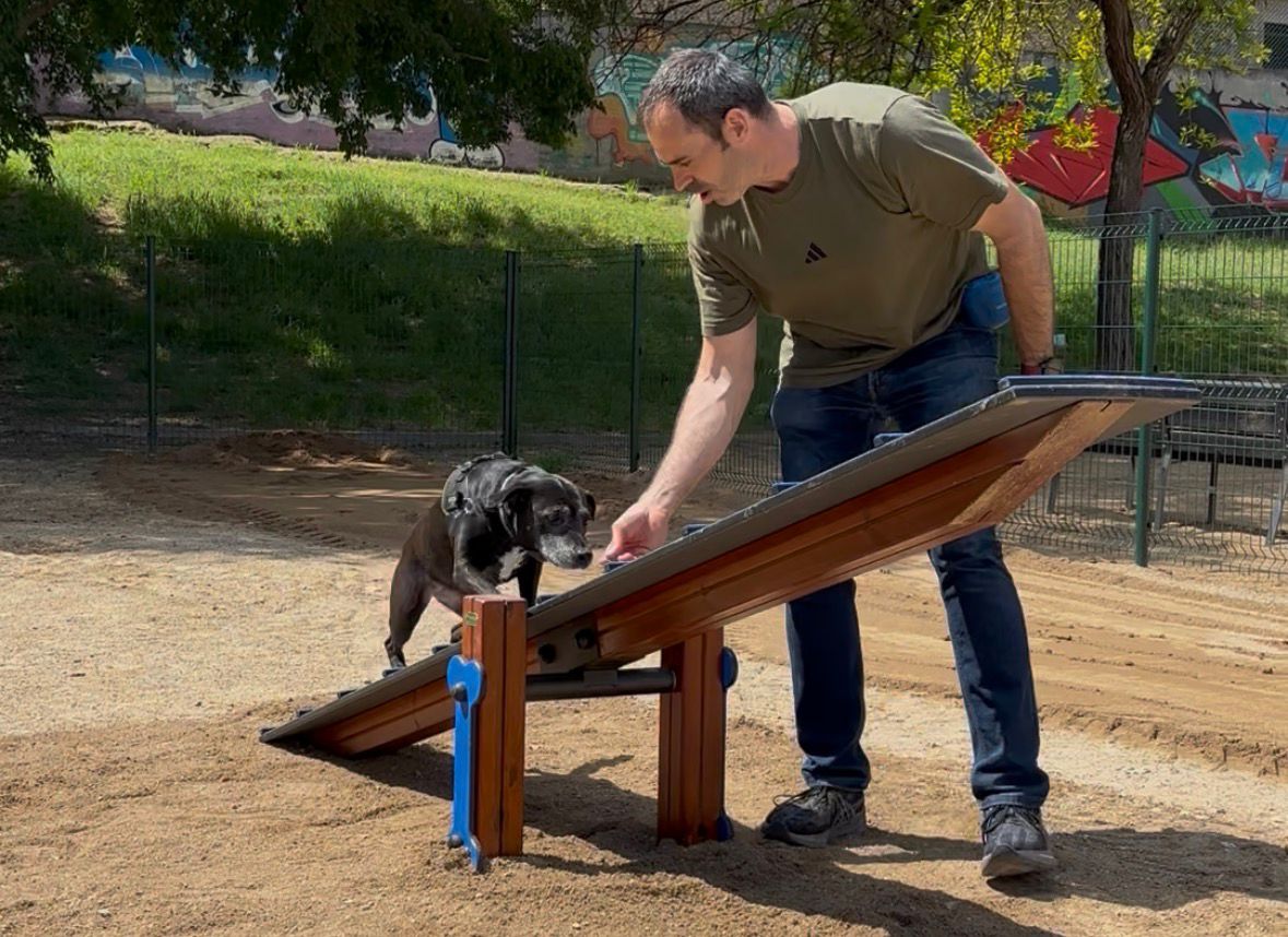 Nou espai per a gossos amb elements d'agility