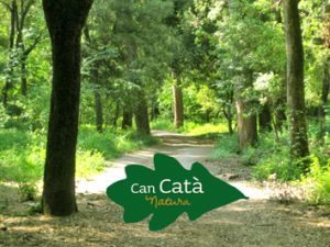 Activitats a Can Catà