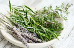 imatge de herbes remeieres