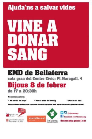 cartell de l'activitat
