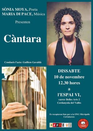 cartell de l'activitat cartell de l'activitat