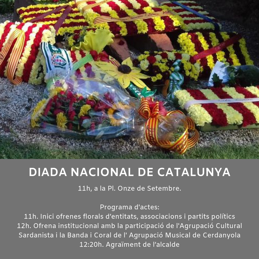 Imatge Diada 2019