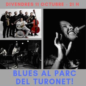 Blues al Parc del Turonet