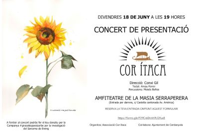 cartell del concert