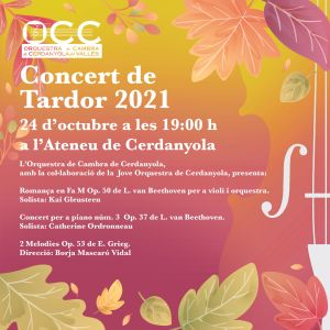cartell del concert